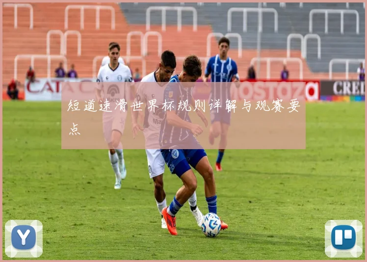 短道速滑世界杯规则详解与观赛要点