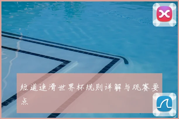 短道速滑世界杯规则详解与观赛要点